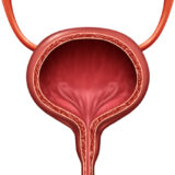 Bladder & Urinary Health: Causes, Symptoms & Treatment
